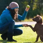 Lista de Comandos AutoCAD